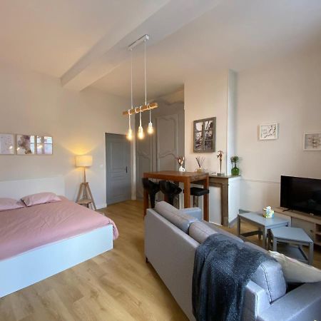 Studio Papillon En Plein Coeur De Ville Saint-Omer  Eksteriør billede